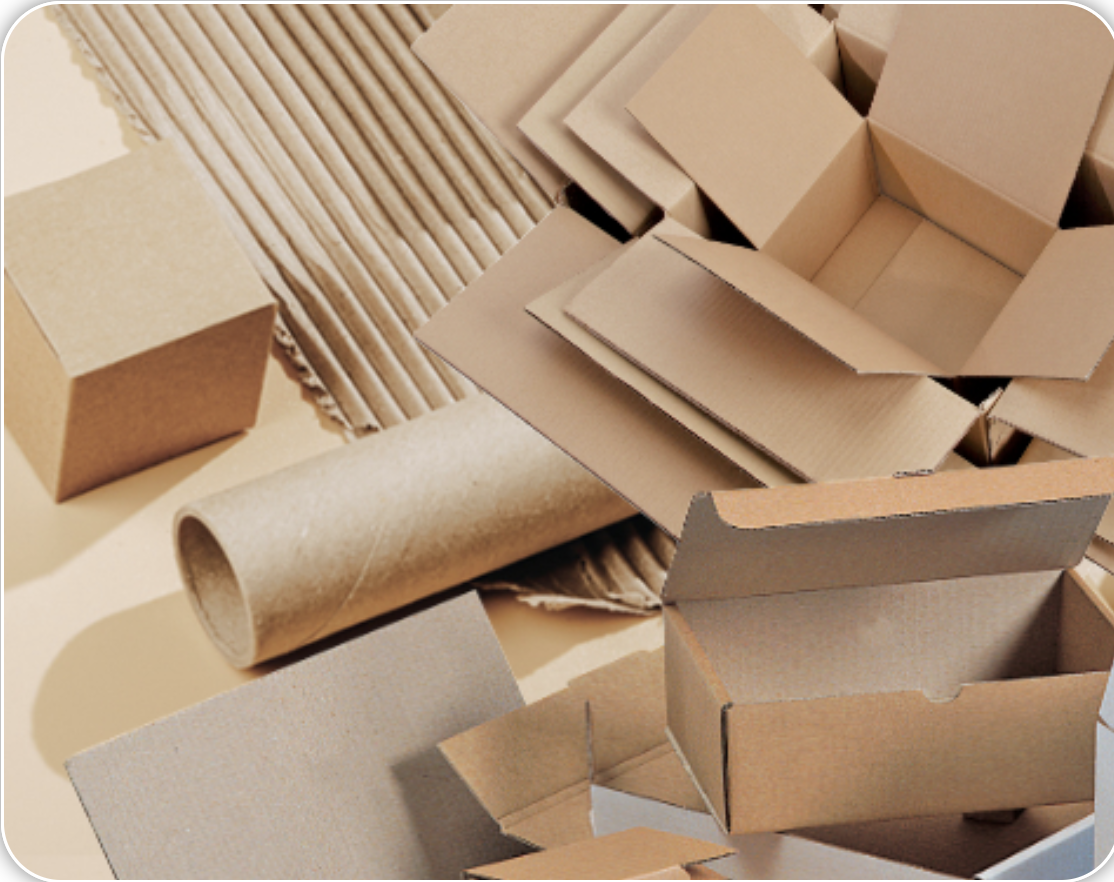 Capture d’écran 2024-10-27 à 22.22.16